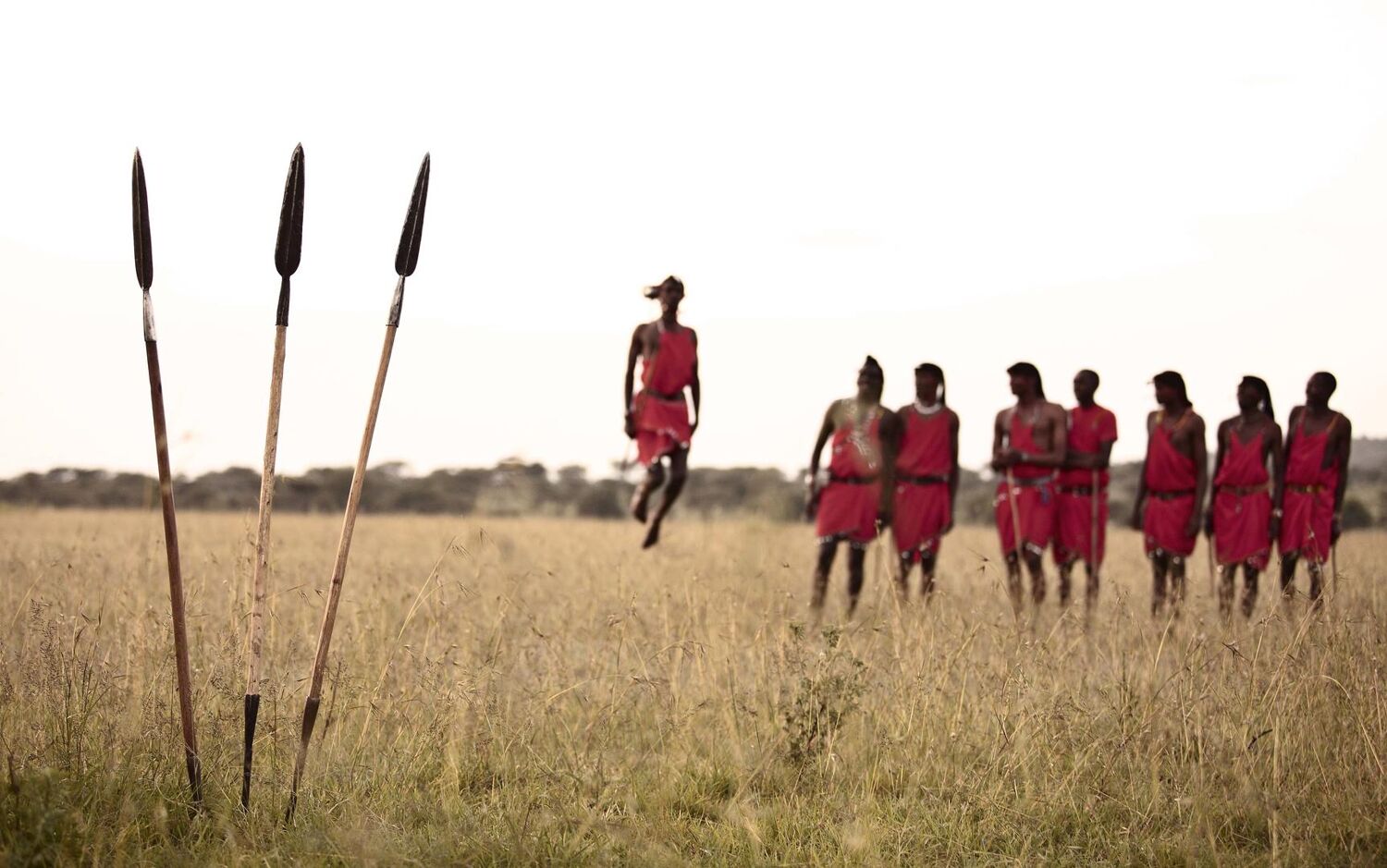 PlaceholderImage1302